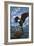 Bald Eagle & Chicks - Ketchikan, Alaska-Lantern Press-Framed Art Print