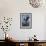 Bald Eagle & Chicks - Ketchikan, Alaska-Lantern Press-Framed Art Print displayed on a wall
