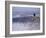 Bald Eagle, Chilkat Bald Eagle Preserve, Valley Of The Eagles, Haines, Alaska, USA-Dee Ann Pederson-Framed Photographic Print