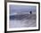 Bald Eagle, Chilkat Bald Eagle Preserve, Valley Of The Eagles, Haines, Alaska, USA-Dee Ann Pederson-Framed Photographic Print