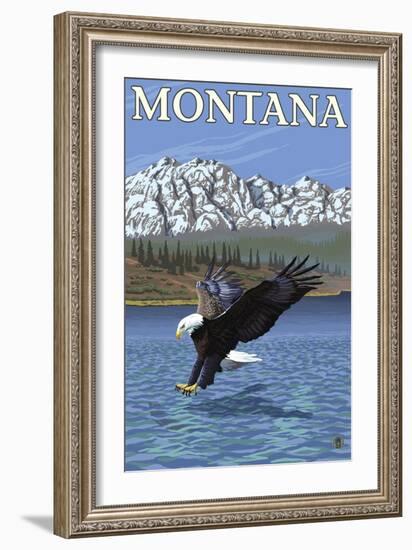 Bald Eagle Diving, Montana-Lantern Press-Framed Art Print