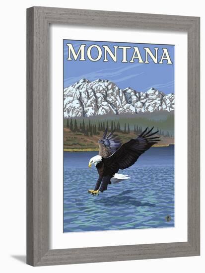 Bald Eagle Diving, Montana-Lantern Press-Framed Art Print