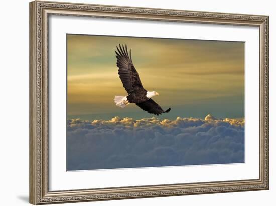 Bald Eagle Flying Above Clouds-null-Framed Premium Giclee Print