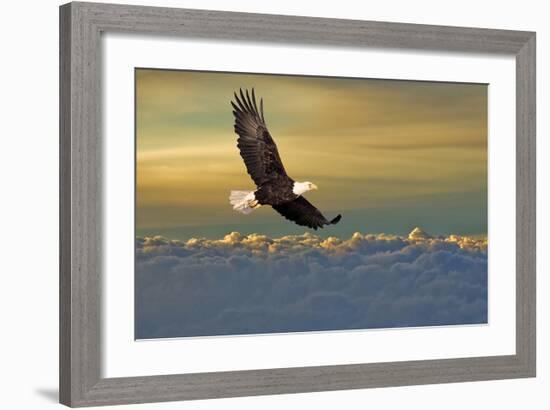 Bald Eagle Flying Above Clouds-null-Framed Art Print