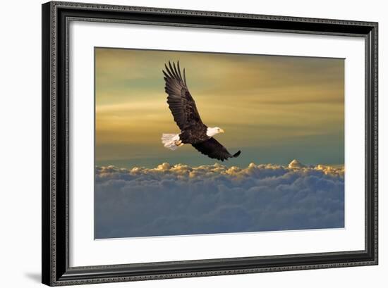 Bald Eagle Flying Above Clouds-null-Framed Art Print