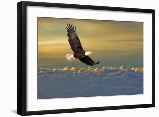 Bald Eagle Flying Above Clouds-null-Framed Art Print