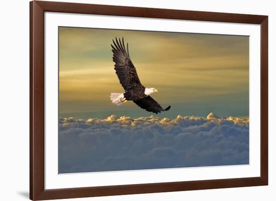 Bald Eagle Flying Above Clouds-null-Framed Art Print