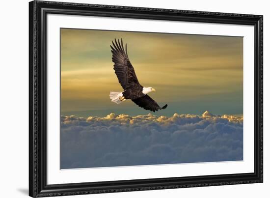 Bald Eagle Flying Above Clouds-null-Framed Art Print