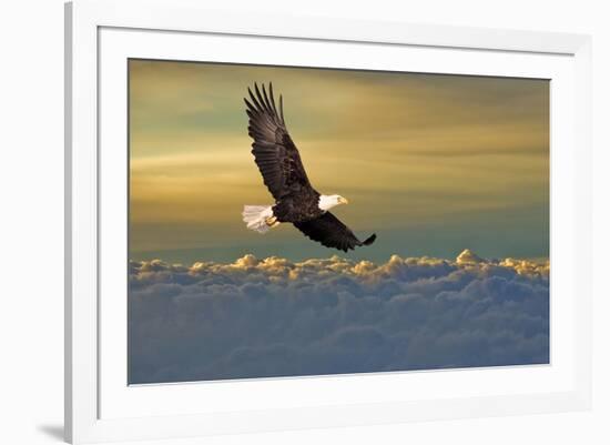 Bald Eagle Flying Above Clouds-null-Framed Art Print