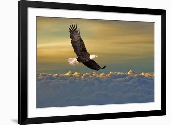 Bald Eagle Flying Above Clouds-null-Framed Art Print