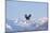 Bald Eagle flying over snow mountain, Haines, Alaska, USA-Keren Su-Mounted Photographic Print