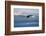 Bald Eagle flying over the ocean, snow mountain in the distance, Homer, Alaska, USA-Keren Su-Framed Photographic Print