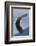 Bald Eagle flying-Ken Archer-Framed Photographic Print