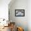 Bald Eagle, Glacier Bay National Park and Preserve, Alaska, USA-Art Wolfe-Framed Premier Image Canvas displayed on a wall