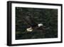 Bald Eagle, Glacier Bay National Park and Preserve, Alaska, USA-Art Wolfe-Framed Photographic Print