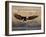 Bald Eagle (Haliaeetus Leucocephalus) in Flight on Final Approach, Farmington Bay, Utah, USA-James Hager-Framed Photographic Print