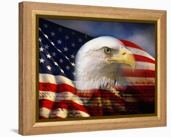 Bald Eagle Head and American Flag-Joseph Sohm-Framed Premier Image Canvas