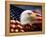 Bald Eagle Head and American Flag-Joseph Sohm-Framed Premier Image Canvas