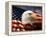 Bald Eagle Head and American Flag-Joseph Sohm-Framed Premier Image Canvas