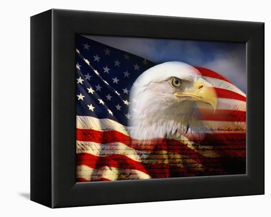 Bald Eagle Head and American Flag-Joseph Sohm-Framed Premier Image Canvas