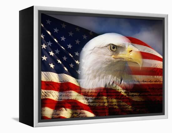 Bald Eagle Head and American Flag-Joseph Sohm-Framed Premier Image Canvas