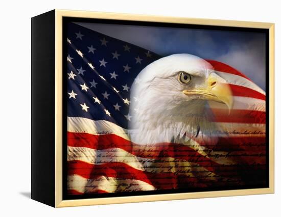 Bald Eagle Head and American Flag-Joseph Sohm-Framed Premier Image Canvas
