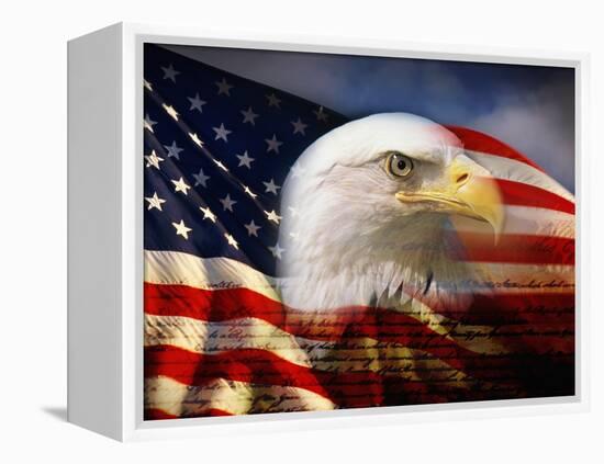 Bald Eagle Head and American Flag-Joseph Sohm-Framed Premier Image Canvas