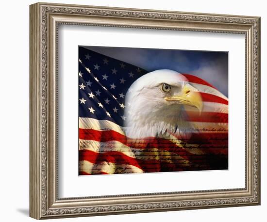 Bald Eagle Head and American Flag-Joseph Sohm-Framed Photographic Print