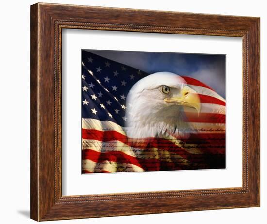 Bald Eagle Head and American Flag-Joseph Sohm-Framed Photographic Print