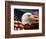 Bald Eagle Head and American Flag-Joseph Sohm-Framed Photographic Print