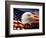 Bald Eagle Head and American Flag-Joseph Sohm-Framed Photographic Print