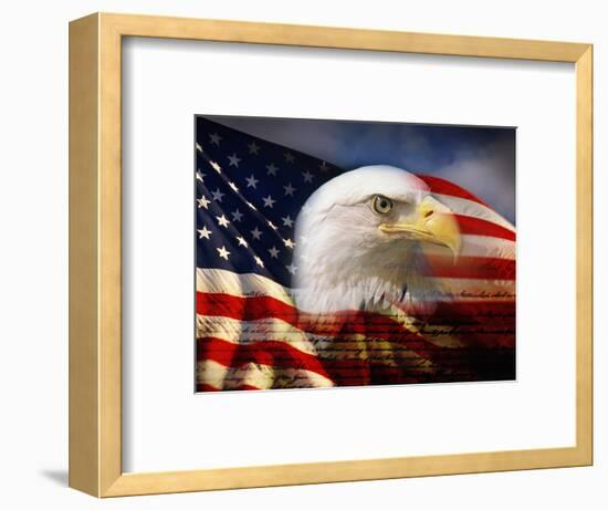 Bald Eagle Head and American Flag-Joseph Sohm-Framed Photographic Print