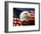 Bald Eagle Head and American Flag-Joseph Sohm-Framed Photographic Print