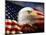 Bald Eagle Head and American Flag-Joseph Sohm-Mounted Photographic Print