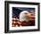 Bald Eagle Head and American Flag-Joseph Sohm-Framed Photographic Print