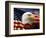 Bald Eagle Head and American Flag-Joseph Sohm-Framed Photographic Print