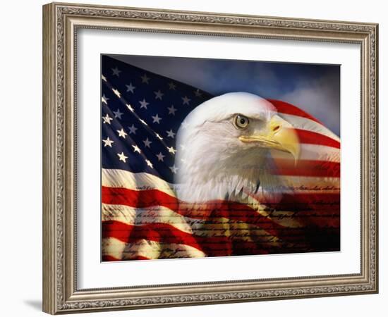 Bald Eagle Head and American Flag-Joseph Sohm-Framed Photographic Print