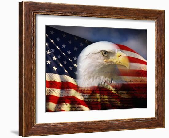 Bald Eagle Head and American Flag-Joseph Sohm-Framed Photographic Print