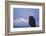 Bald Eagle, Homer, Alaska, USA-Keren Su-Framed Photographic Print