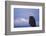 Bald Eagle, Homer, Alaska, USA-Keren Su-Framed Photographic Print