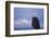 Bald Eagle, Homer, Alaska, USA-Keren Su-Framed Photographic Print