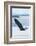 Bald Eagle, Homer, Alaska, USA-Keren Su-Framed Photographic Print