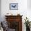 Bald Eagle Landing, Haliaeetus Leucocephalus, Southwest Florida-Maresa Pryor-Framed Photographic Print displayed on a wall