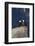 Bald Eagle Pair on Boulder-Ken Archer-Framed Photographic Print