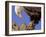 Bald Eagle Perched on Tree Branch, Alaska, USA-Joe & Mary Ann McDonald-Framed Photographic Print