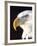 Bald Eagle Portrait, Native to USA and Canada-David Northcott-Framed Photographic Print