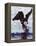 Bald Eagle Pulling a Salmon From the Chilkat River in Alaska, USA-Charles Sleicher-Framed Premier Image Canvas