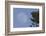 Bald Eagle, Rising Full Moon-Ken Archer-Framed Photographic Print