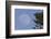 Bald Eagle, Rising Full Moon-Ken Archer-Framed Photographic Print