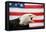 Bald Eagle Squawking with American Flag-W. Perry Conway-Framed Premier Image Canvas